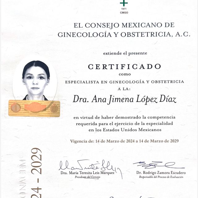 Ampliar imagen: certificate 1