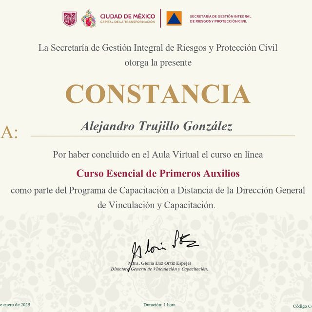 Ampliar imagen: certificate 2