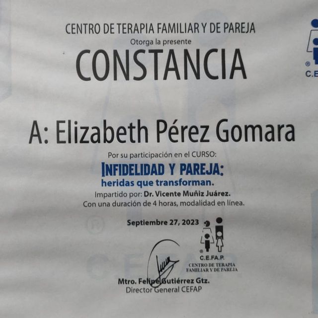 Ampliar imagen: certificate 3