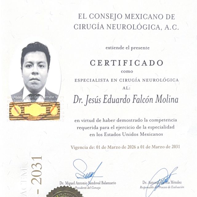Ampliar imagen: certificate 2