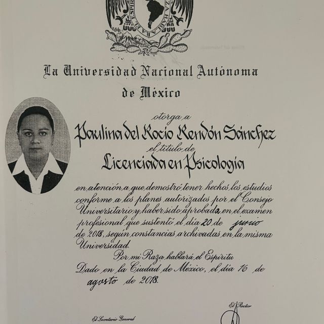 Ampliar imagen: certificate 12