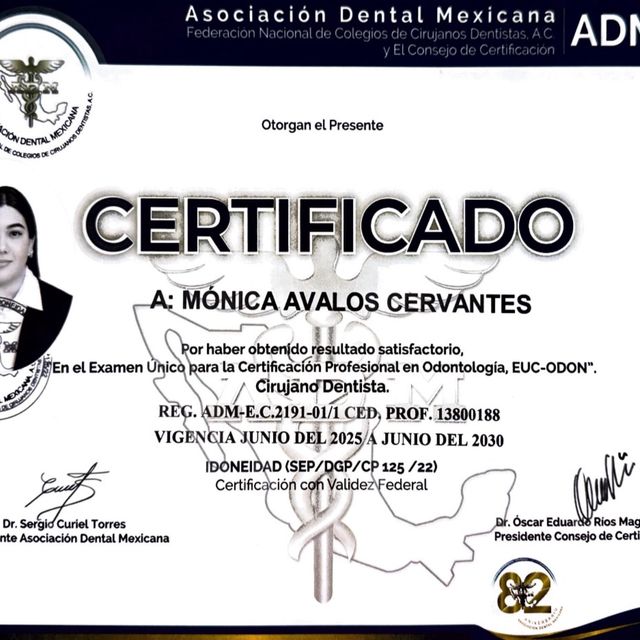 Ampliar imagen: certificate 1