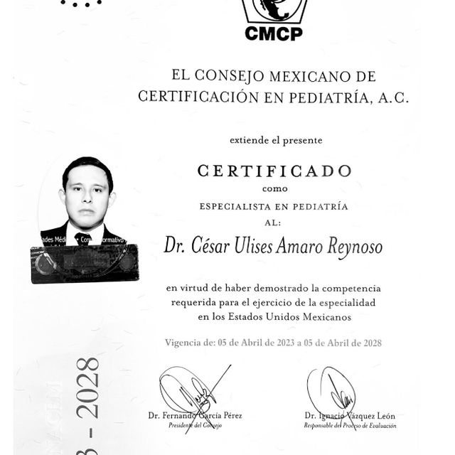 Ampliar imagen: certificate 1