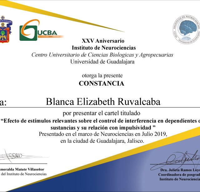 Ampliar imagen: certificate 3