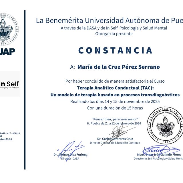 Ampliar imagen: certificate 13