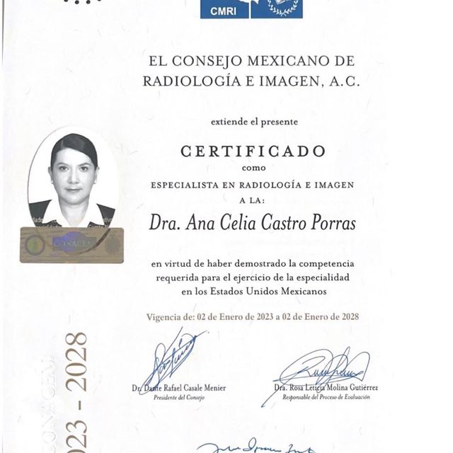 Ampliar imagen: certificate 3