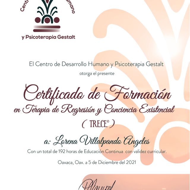 Ampliar imagen: certificate 8