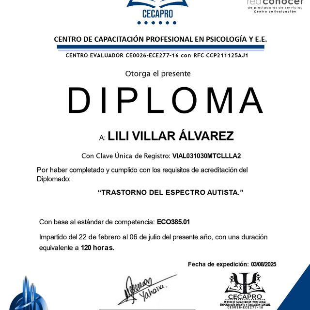 Ampliar imagen: certificate 5