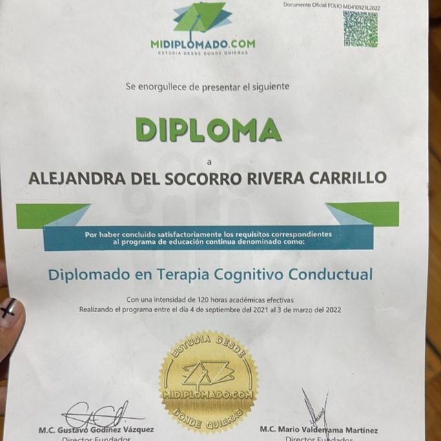 Ampliar imagen: certificate 11
