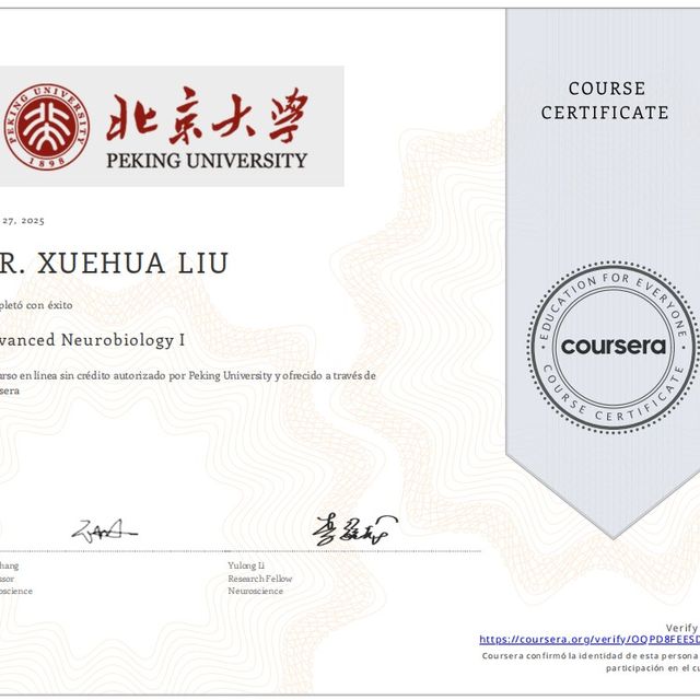 Ampliar imagen: certificate 3