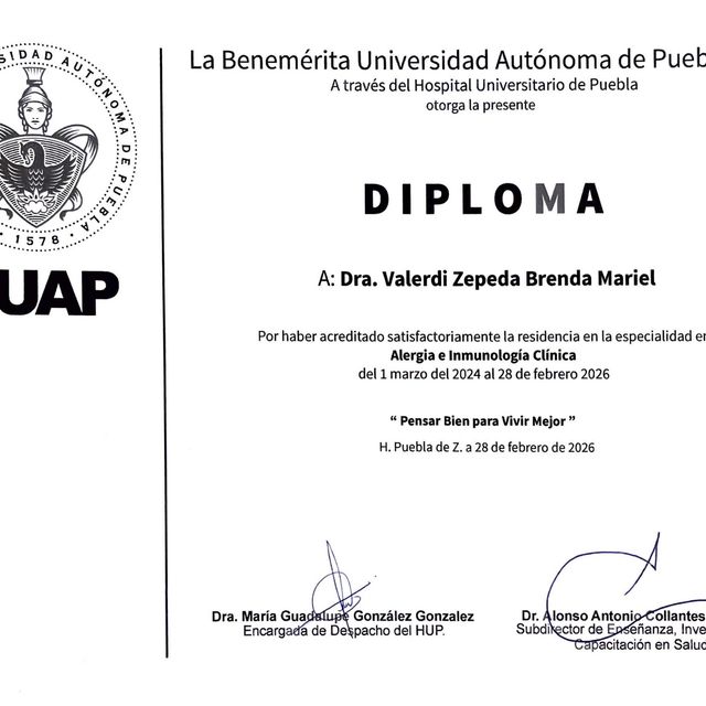 Ampliar imagen: certificate 2