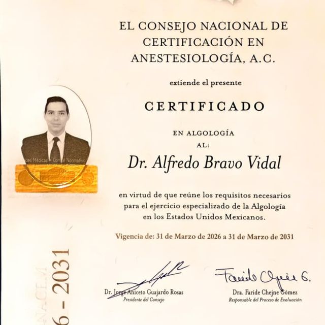 Ampliar imagen: certificate 2