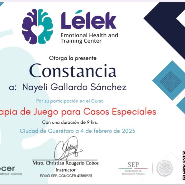 Ampliar imagen: certificate 2