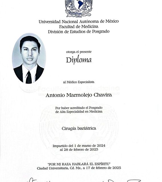 Ampliar imagen: certificate 2