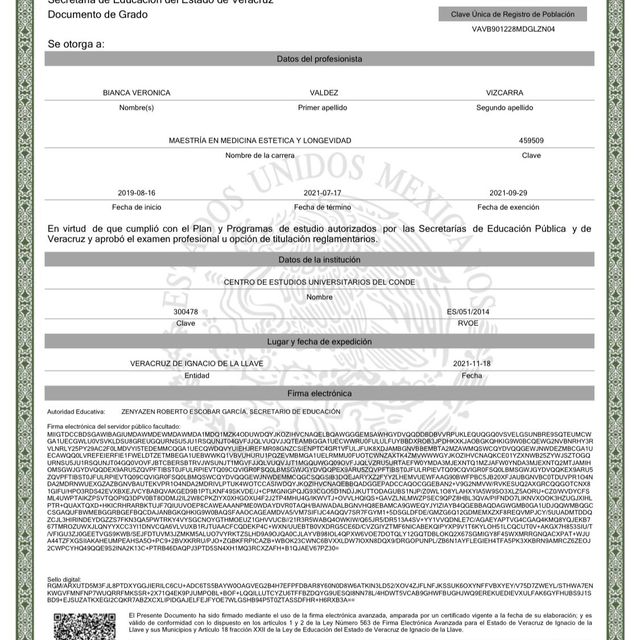 Ampliar imagen: certificate 1