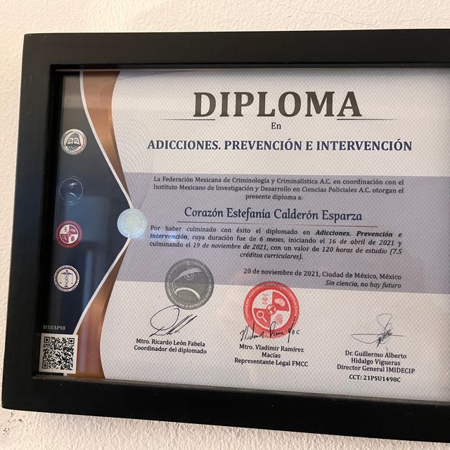 Ampliar imagen: certificate 6