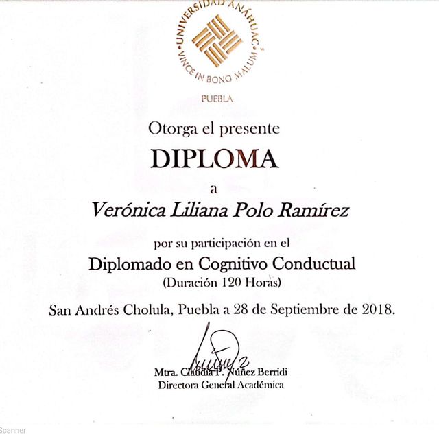 Ampliar imagen: certificate 3
