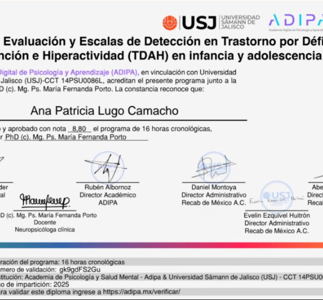 Ampliar imagen: certificate 3