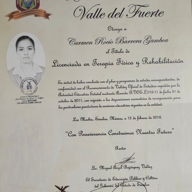 Ampliar imagen: certificate 7