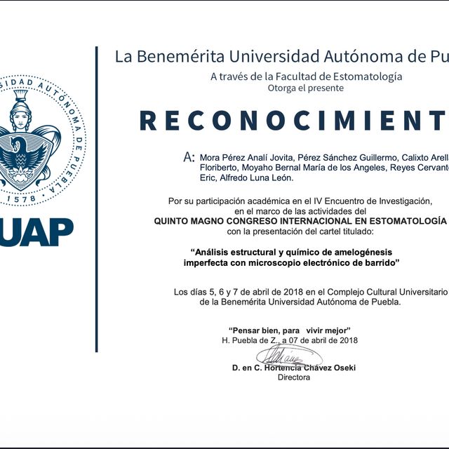 Ampliar imagen: certificate 8
