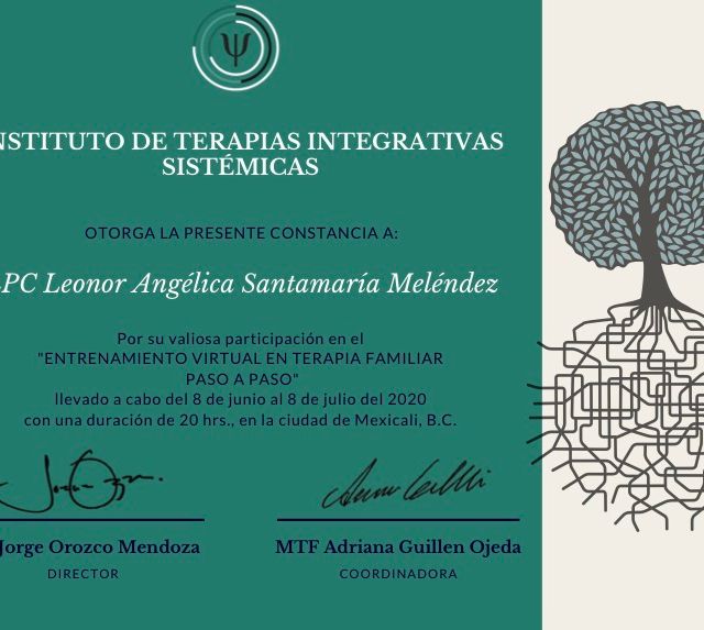 Ampliar imagen: certificate 3