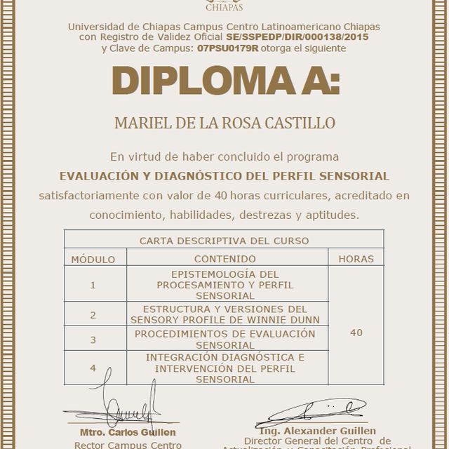 Ampliar imagen: certificate 3