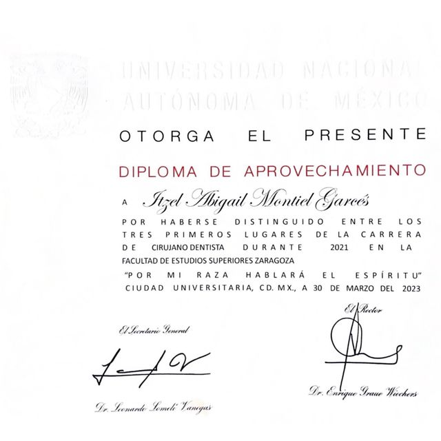 Ampliar imagen: certificate 1