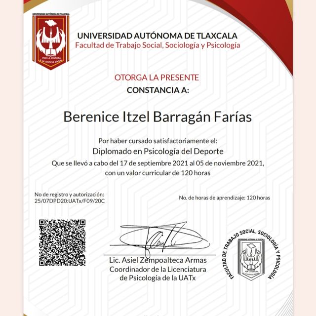 Ampliar imagen: certificate 3