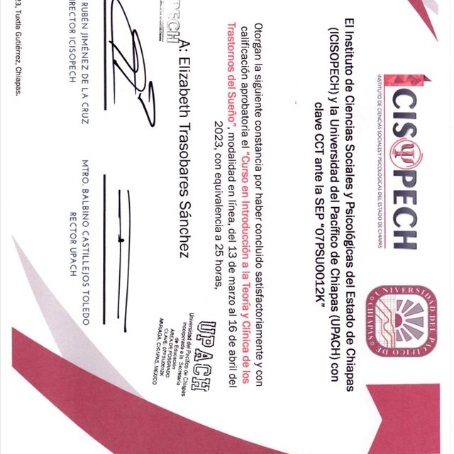 Ampliar imagen: certificate 13