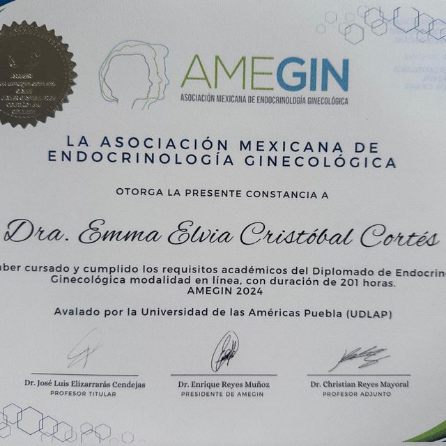 Ampliar imagen: certificate 2