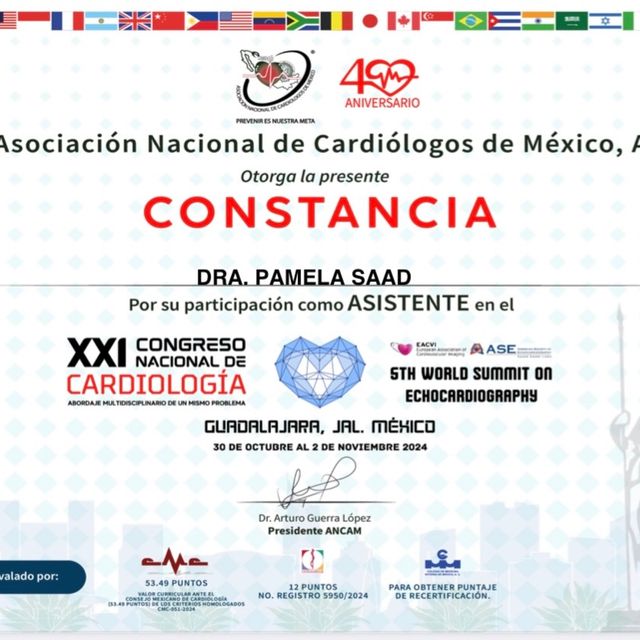Ampliar imagen: certificate 4
