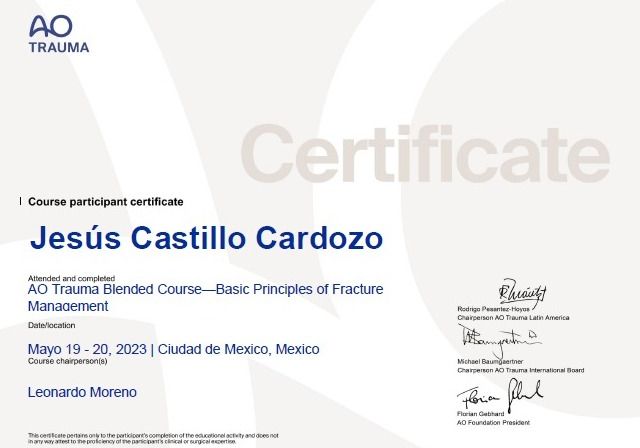 Ampliar imagen: certificate 2