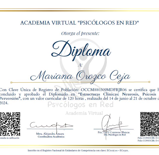 Ampliar imagen: certificate 19