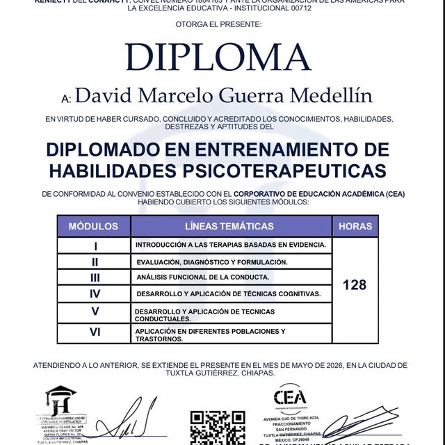 Ampliar imagen: certificate 7