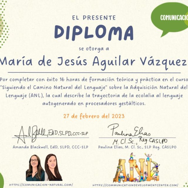 Ampliar imagen: certificate 5