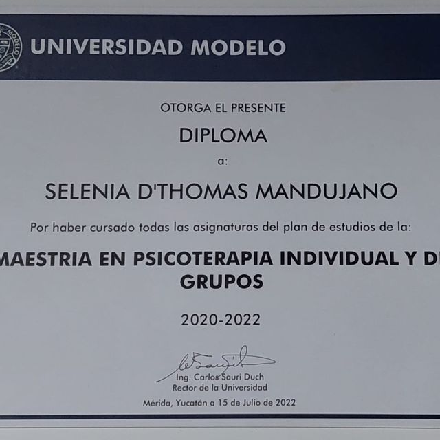 Ampliar imagen: certificate 1