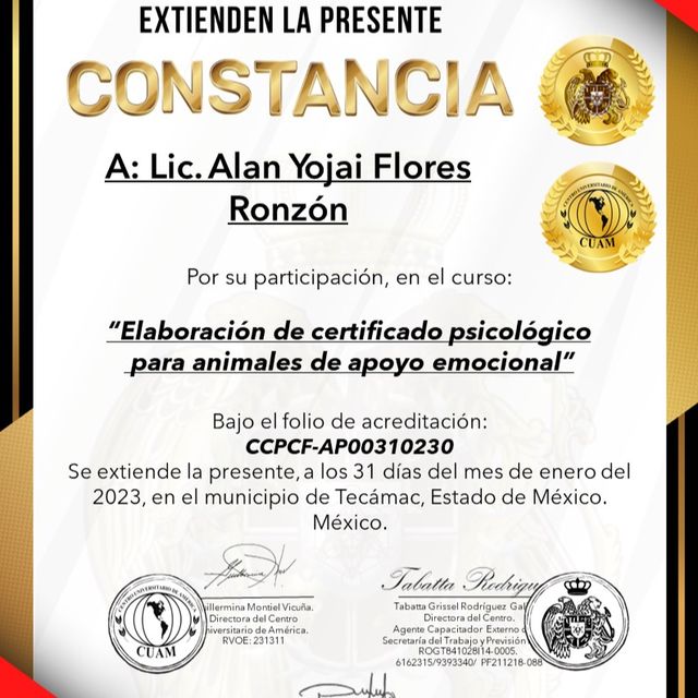 Ampliar imagen: certificate 2