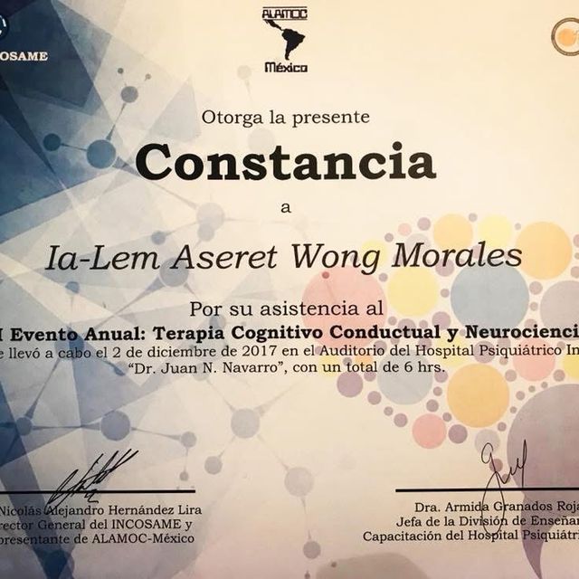 Ampliar imagen: certificate 7