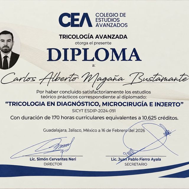 Ampliar imagen: certificate 3
