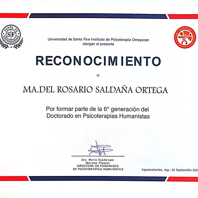Ampliar imagen: certificate 10