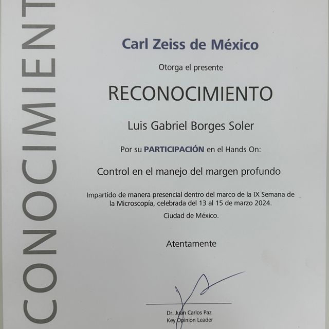 Ampliar imagen: certificate 6