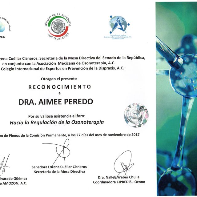 Ampliar imagen: certificate 6