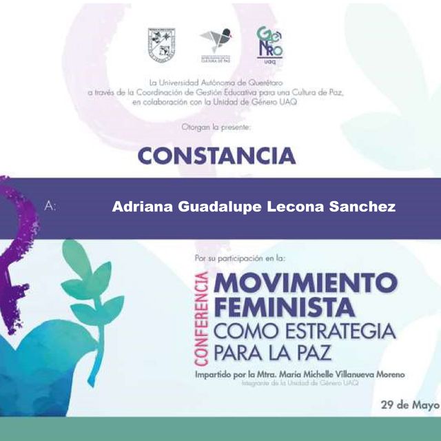 Ampliar imagen: certificate 5