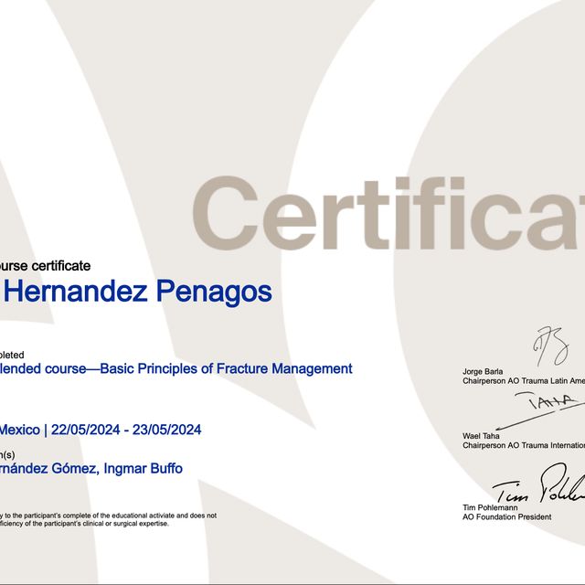 Ampliar imagen: certificate 2