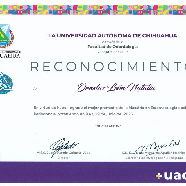 Ampliar imagen: certificate 2
