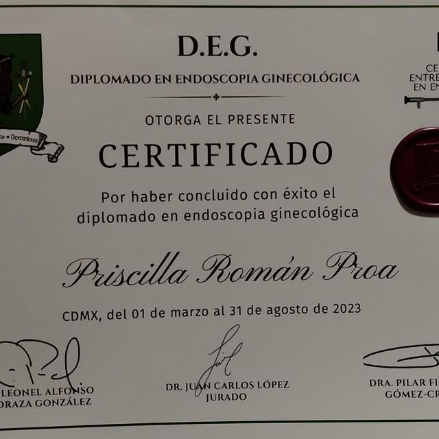 Ampliar imagen: certificate 5
