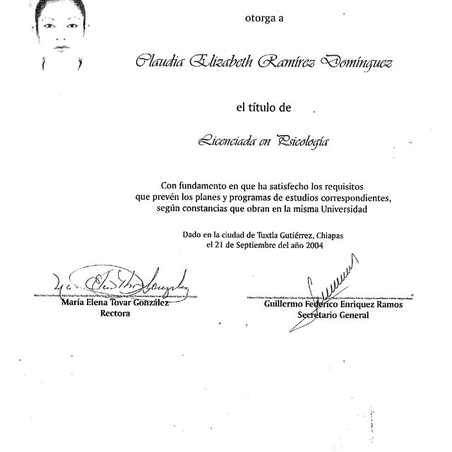 Ampliar imagen: certificate 3