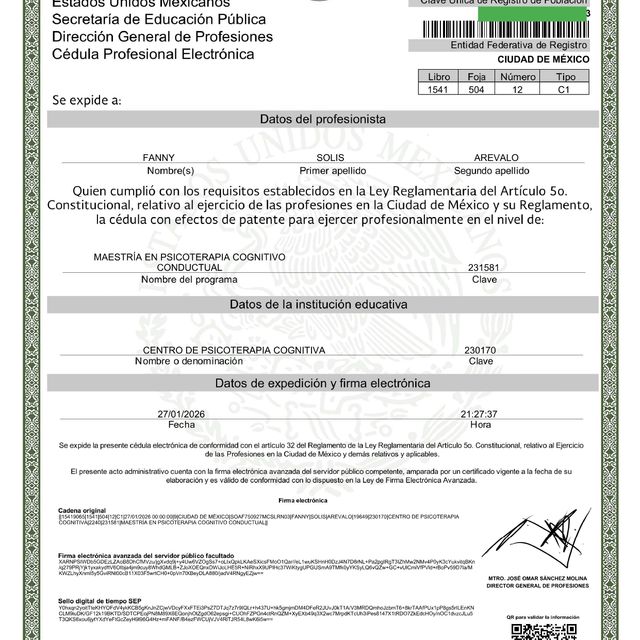 Ampliar imagen: certificate 5