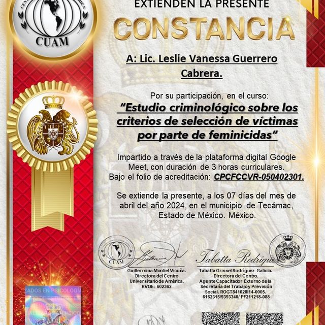 Ampliar imagen: certificate 8