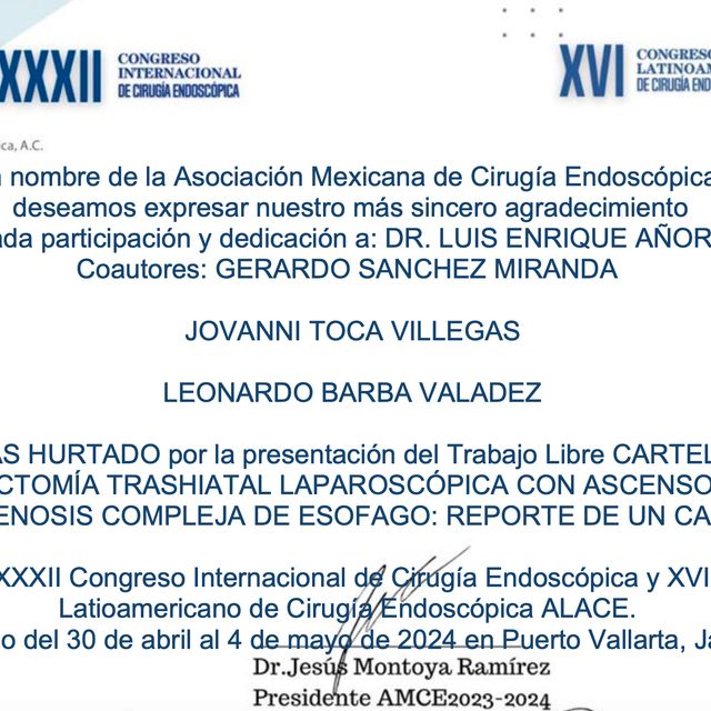 Ampliar imagen: certificate 5